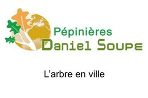 Daniel Soupe Pépinières